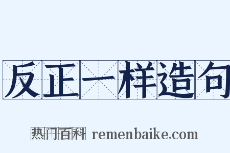 反正一样造句是什么意思的图片